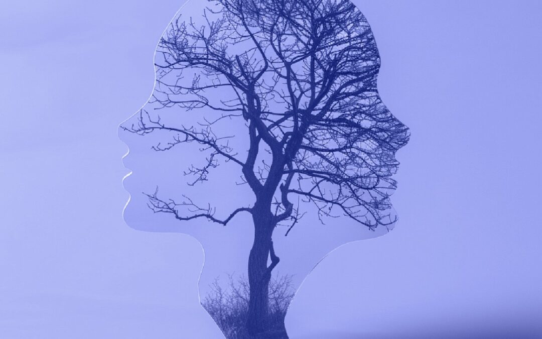 Renew Comprehensive Addiction Treatment Centre in Boksburg