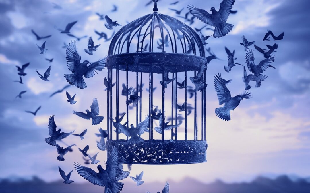 Renew alcohol addiction rehab centre in Farrarmere